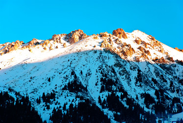 Similar image 592921