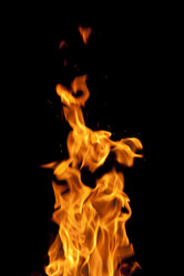 Similar image 592926