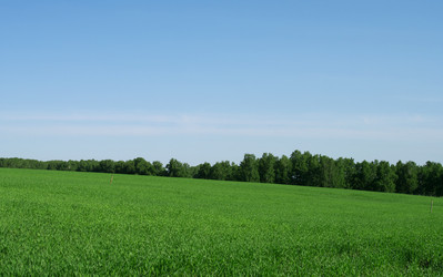 Similar image 592929