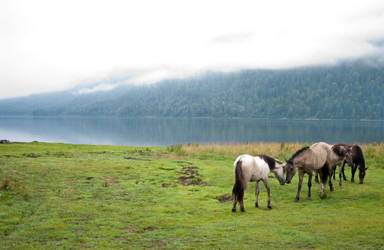 Similar image 592932