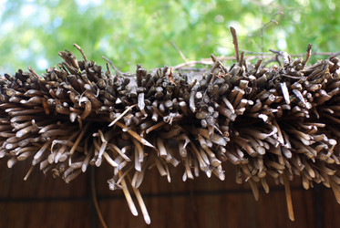 Similar image 592958