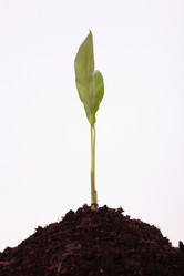 Similar image 592996