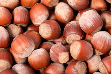 Similar image 593031