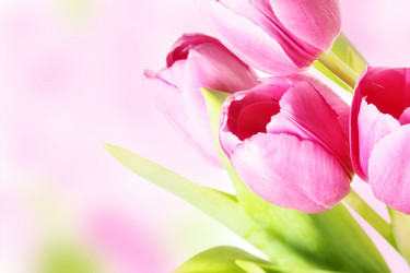 Similar image 593145