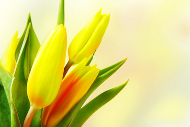 Similar image 593146