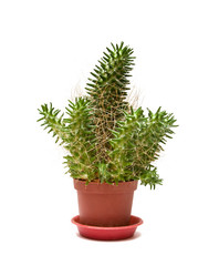 Similar image 593164