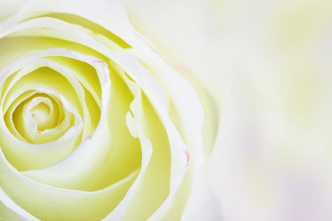 Similar image 593196