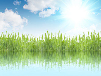 Similar image 593203