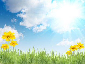 Similar image 593208