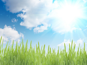 Similar image 593225