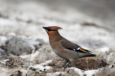 Similar image 593276