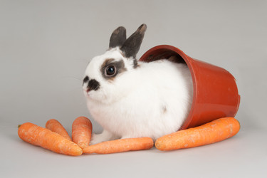 Similar image 593313