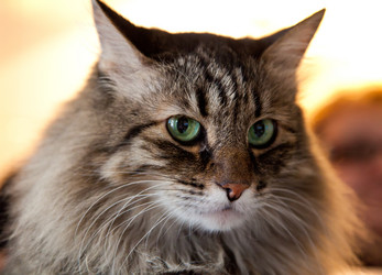 Similar image 593347