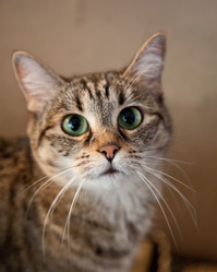 Similar image 593349