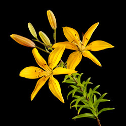 Similar image 593443