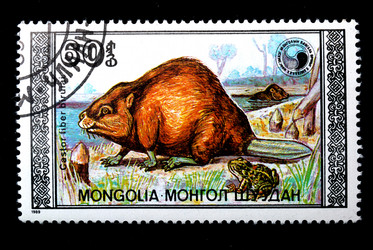 Similar image 593681