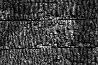 Similar image 593685