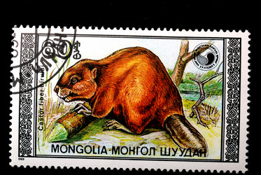 Similar image 593705