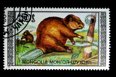 Similar image 593706