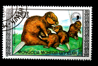 Similar image 593708