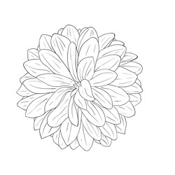 Similar image 593836