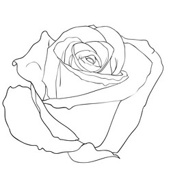 Similar image 593882