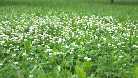 Similar image 593910