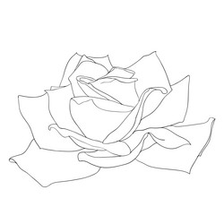 Similar image 593911