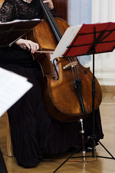 Similar image 593919