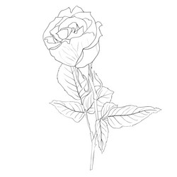 Similar image 593920