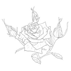 Similar image 593927