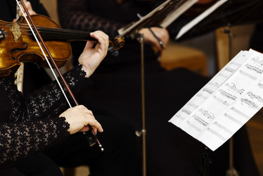 Similar image 593930