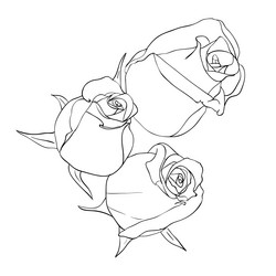 Similar image 593934