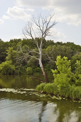 Similar image 593947