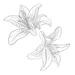 Similar image 593948