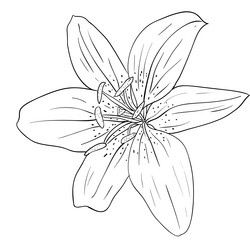 Similar image 593950