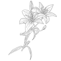 Similar image 593951