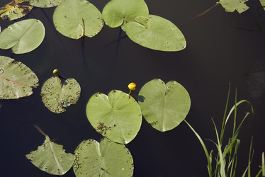 Similar image 593952