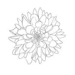 Similar image 593957