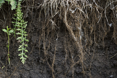 Similar image 593960