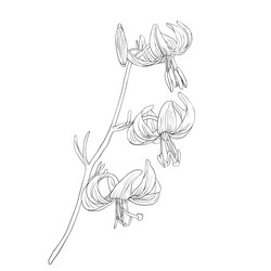 Similar image 593961