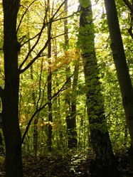 Similar image 594078