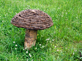 Similar image 594081