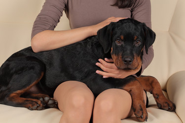 Similar image 594165