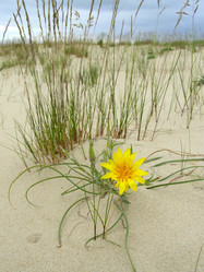 Similar image 594327