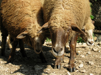 Similar image 594336