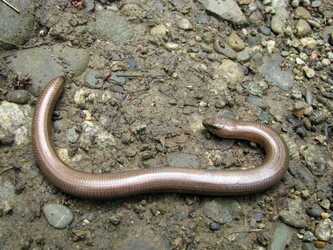 Similar image 594342