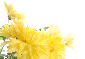 Similar image 594377