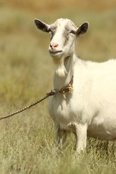 Similar image 594389