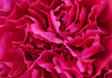 Similar image 594390